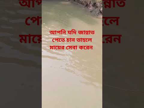 আপনি যদি জান্নাত পেতে চান তাহলে মায়ের সেবা করেন 🤲🤲🕋❤️😱🥀🥰#shorts #trending #shortsfeed #fishing #waz