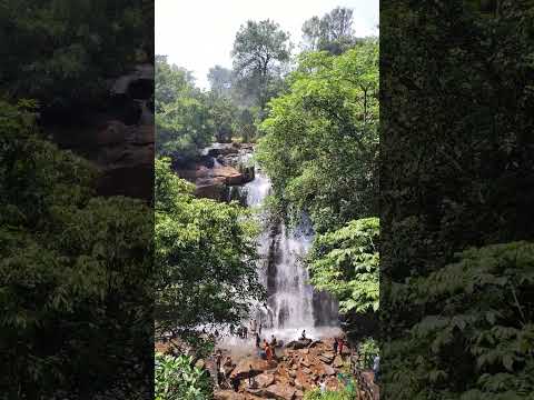 Sirimane falls sringeri #sringeri #nature #chikmagalur #waterfalls #beautiful