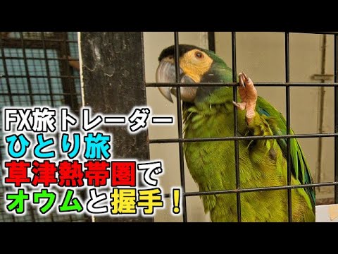 FX旅トレーダー草津熱帯圏でインコと握手！