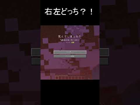 落ちるのはどっち？！ #shorts #minecraft #java版 #java版マイクラ