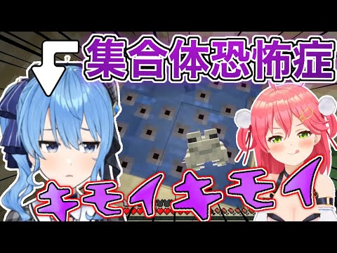 【マイクラ】カエル大量ドッキリで、すいちゃん絶叫！？みこち悪戯