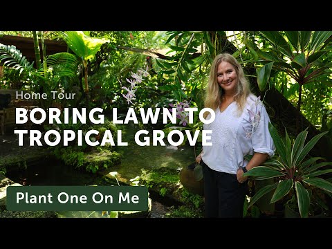 Lawn Turned TROPICAL PARADISE Backyard — Ep. 349