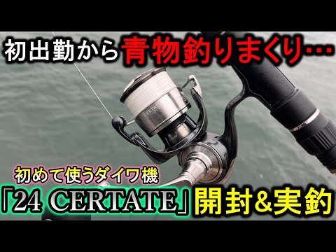 4投で3HIT…シマノ派?の私が24セルテートを使うと青物釣れまくりで大変です