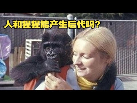 前苏联曾秘密打造“人猿混血军队”？人和猩猩真的能产生后代吗？