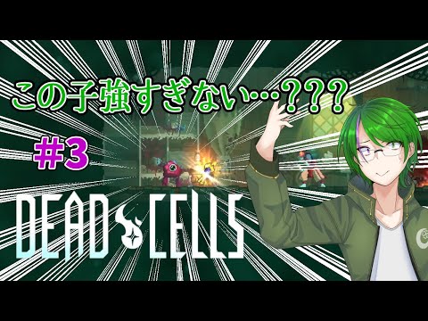 【Dead Cells】「死」は終わりではなく、始まりに過ぎない…#3【道端クローバー】