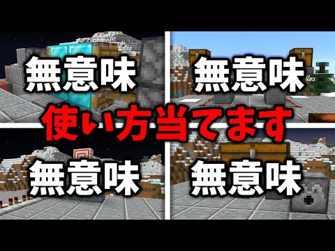 【マイクラ】無意味すぎる装置の使い方を当てろ！無意味選手権！！