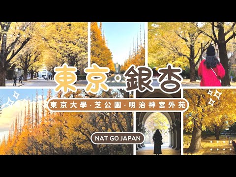 【東京・銀杏之旅】3個絕美欣賞銀杏好地方｜💫東京大學💫明治神宮外苑💫芝公園｜明治神宮外苑銀杏並木夜間點燈🌟｜Nat Go Japan