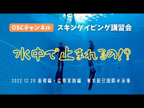 水中で止まれるようになる練習！？潜る・沈むだけじゃない！OSCスキンダイビング講習会（基礎編・応用実践編）の練習風景（フォームチェック動画） in 東京辰巳国際水泳場