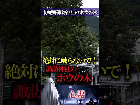 【心霊】山梨県　初鹿野諏訪神社のホウの木（再UP）　 #怪談 #心霊 #ghost