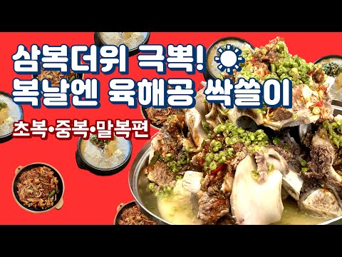 삼복더위 극뽁! 복날엔 육해공 싹쓸이 (feat.직장인 푸드파이터 ‘보양식편') | 뼈다귀찜, 육회비빔밥, 미나리숙회, 직화낙지, 보쌈, 쟁반막국수, 삼계탕)