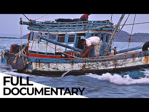 Activists vs Fish Industry: The Deadly Fight for the Future of the Oceans | ENDEVR Documentary