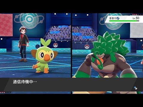 【ポケモン剣盾】300族統一 サルノリで3タテしてみた