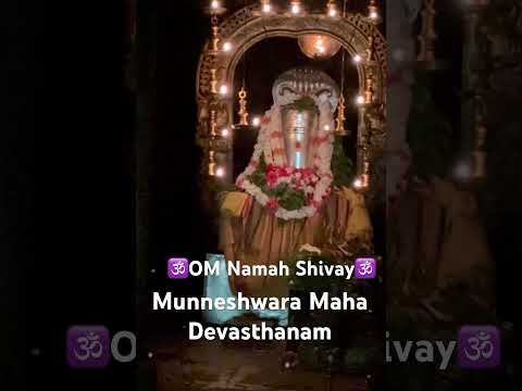 Lord Shiva Puja #god #mahakaleshwar #mahadev