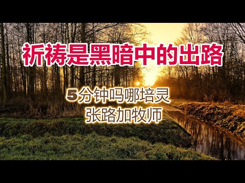 5分钟吗哪培灵- 祈祷是黑暗中的出路  (张路加牧师)