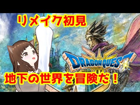 【ドラクエリメイク】こんどは大魔王退治！！どこまでいけるかな