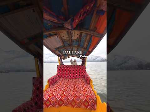 DALLAKE in Kashmir 🫰🫰#kashmir #youtubeshorts #srinagar #ytshorts