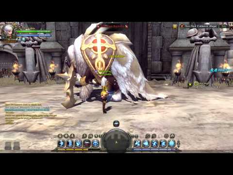 Dragon Nest: Boss Rush (Calderock) [Acrobat lv.36]