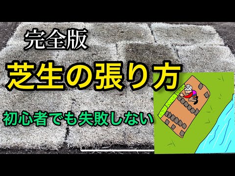 【完全版】芝生の張り方と育て方！初心者でも失敗しない方法を伝授！