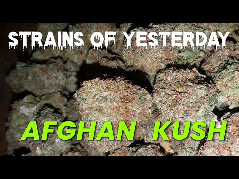 Strains of Yesterday: Afghan KUSH