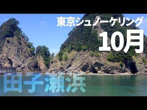 ＃３１田子瀬浜でシュノーケリング（2016年10月）【東京シュノーケリング】