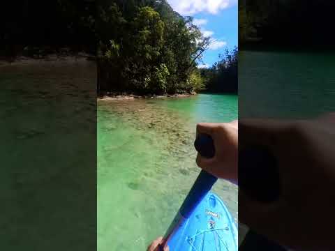 Stand Up Paddleboarding in a Lagoon