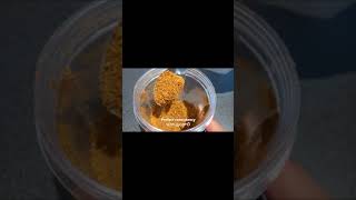 Quick and Easy Temple style pulihora Masala Powder under 10 min