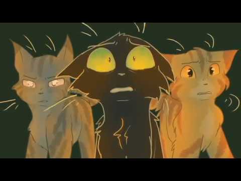 hollyleaf pmv - to see you alive