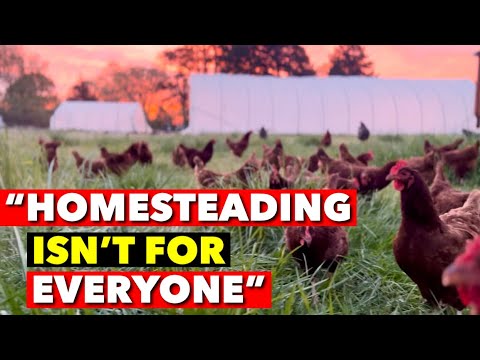 THE ONE THING NO ONE TELLS YOU ABOUT HOMESTEADING