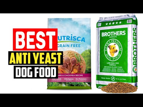 ✅Top 5 Best Anti Yeast Dog Food in 2023