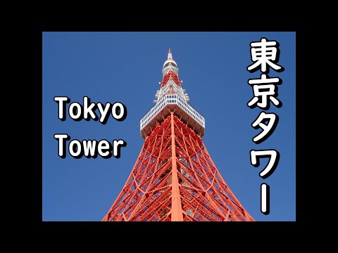 東京のシンボルは東京タワーだ！スカイツリーには負けないぞー！