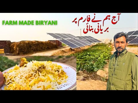 How To Make Biryani | فارم میڈ بریانی | DAAD'S AGRI FARM