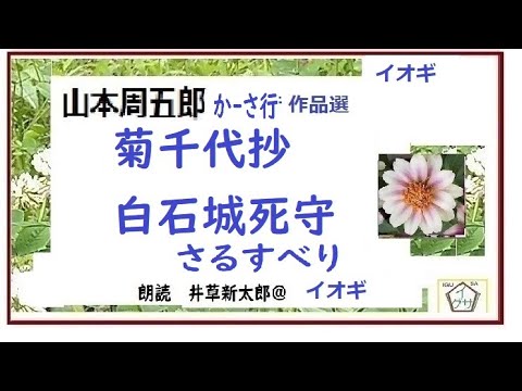 山本周五郎,特盛,7, 「菊千代抄,  白石城死守,さるすべり,」,※朗読,,by,D.J.イグサ,井草新太郎,＠,イオギ,