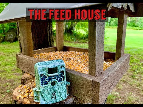 The Feed House Frenzy! Check out the ABUNDANCE of wildlife that stops by for a BUFFET. Trail Camera