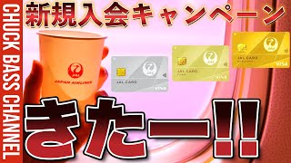 【キャンペーン終了済み】JAL Visaカード💳新規入会キャンペーンだと❗️❓最大〇〇マイル獲得できる❗️❓