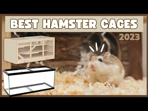 Top 5 BEST Hamster Cages 2023 🐹🌟