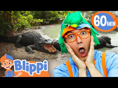 Blippi's Spooky Alligator Trick-or-Treat Adventure! 🍬🐊 - Blippi | Educational Videos for Kids