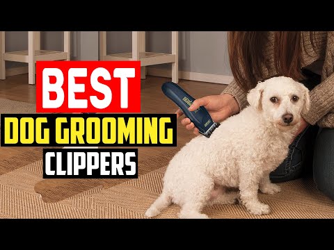 ✅Top 5 Best Dog Grooming Clippers in 2023 Reviews & Top Picks