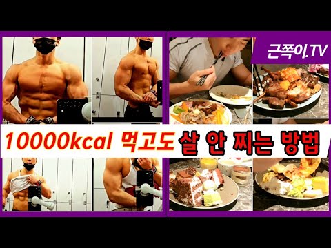 먹어도 살안찌는 방법 알려드려요. 폭식 전 살 안 찌는 대처법(1)