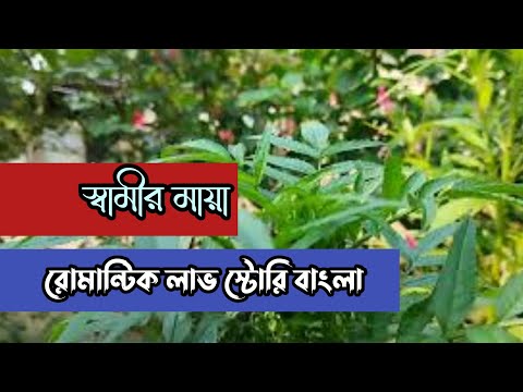 স্বামীর মাইয়া ||  রোমান্টিক লাভ স্টোরি বাংলা || anika Dairy