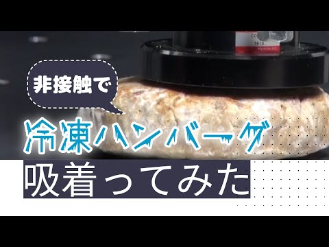 【吸着ってみた】冷凍ハンバーグ【コンバム】