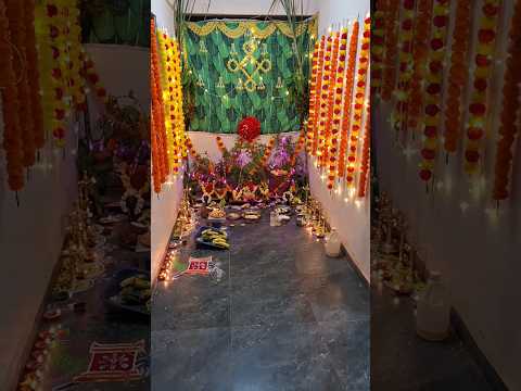 Tulasi Viviah #tulasivivaharangoli #tulasivivah #tulasipooja #pooja #shortsviral #tulasipooja