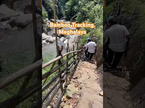 Bamboo Tracking, Meghalaya #travel #river #nature #roadtrip