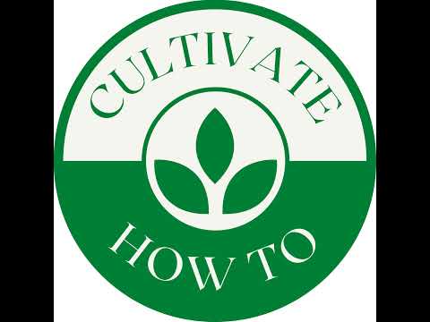 How to Cultivate Live Stream