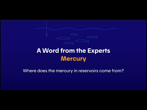 Where does the mercury in reservoirs come from?