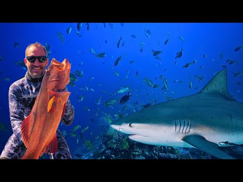 Spearfishing with Sharks - Crazy Day Out Getting Smashed By the Taxman