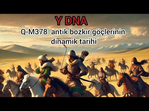 Y DNA,Q-M378 antik bozkır göçlerinin dinamik tarihini yansıtır ve  popülasyonları birbirine bağlar.