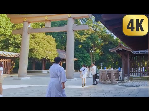 [4K] Tokyo, Japan Day Walk Meiji Jingu Gardens, Shibuya Streets