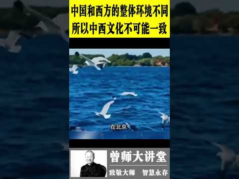 曾仕强：中国和西方的整体环境不同，所以文化不可能一致  #曾仕强  @zengshidajiangtang  #易经 ​ #曾仕强 #易经