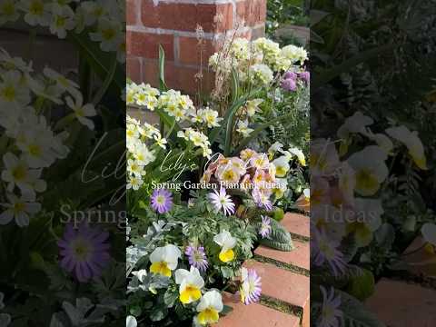 秋は球根を植える季節、今年の春の庭を振り返るダイジェスト動画🌸Spring Garden Planning Ideas #ガーデニング #gardening #shorts