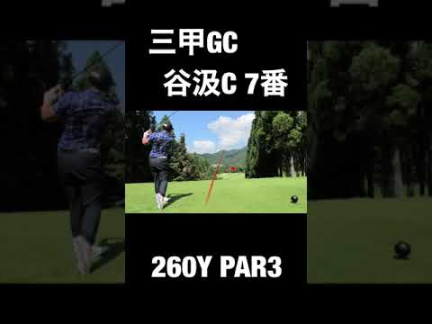 実測260YのPAR3  2アイアンでピンそばバーディー#shorts